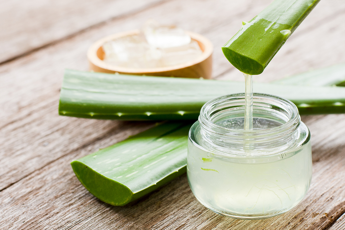 aloe vera pelo
