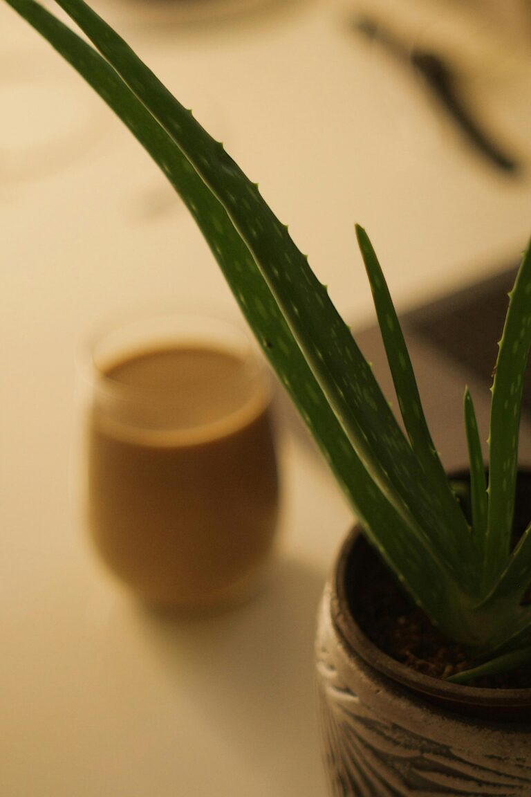 Nosotros A soothing close-up of an Aloe Vera plant in a stylish pot with a coffee in the background.